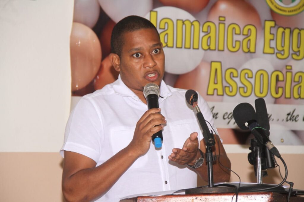 Floyd Green lauds Jamaican egg farmers on resilience despite COVID19