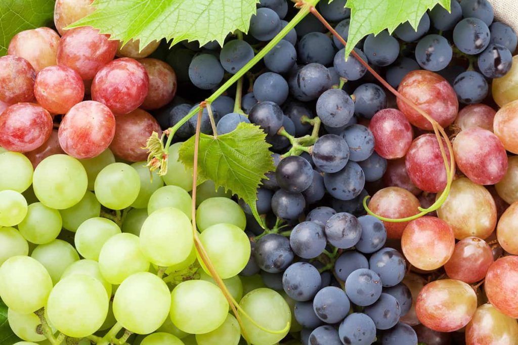 Health benefits of Jamaicafound fruits Grapes Our Today