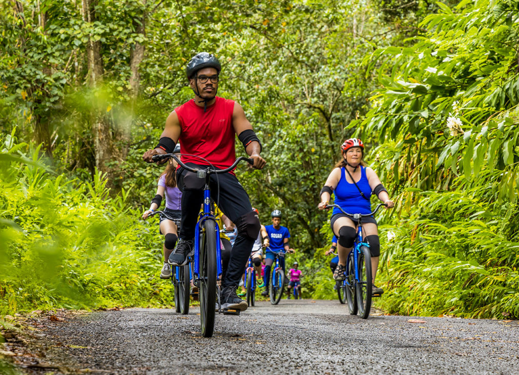 blue mountain bike tour waterfalls