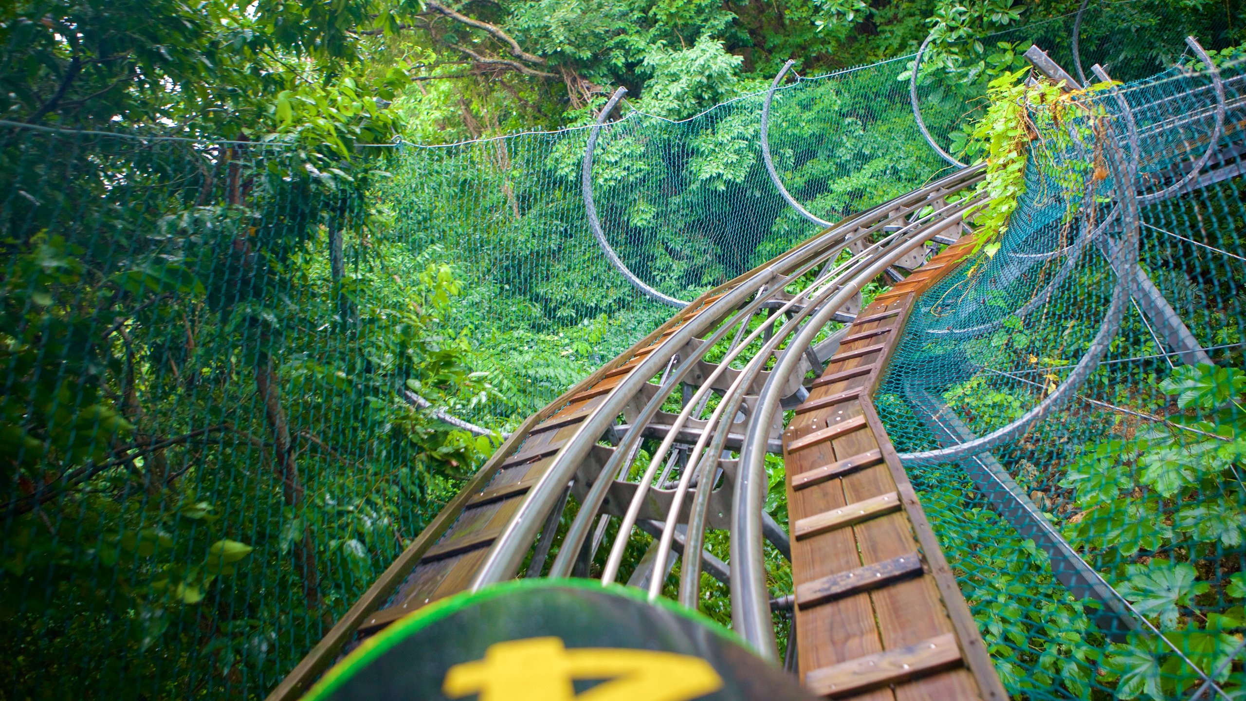 Mystic Mountain Jamaica