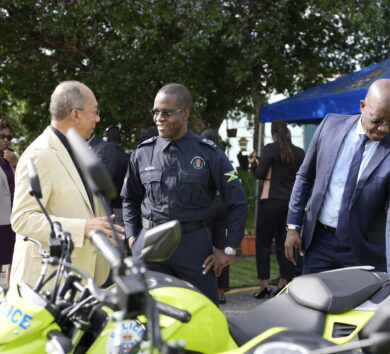 Young Jamaica backs Dr Horace Chang, chides JFJ for ‘convenient posturing’