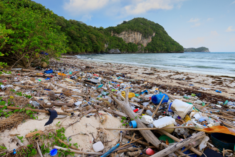 Caribbean Biodiversity Fund opens second call for circular economy projects to combat regional marine pollution