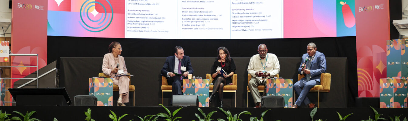 Minister of Agriculture and Fisheries Floyd Green makes a contribution during the Hand-in-Hand Investment Forum 2025, a flagship event of the World Food Forum (WFF) hosted by FAO in Rome, Italy.