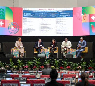 Minister of Agriculture and Fisheries Floyd Green makes a contribution during the Hand-in-Hand Investment Forum 2025, a flagship event of the World Food Forum (WFF) hosted by FAO in Rome, Italy.