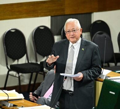 Justice minister tables concept paper ahead of national policy on ADR