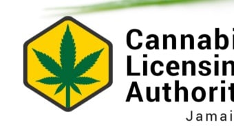 cannabislicensingauthority_cover