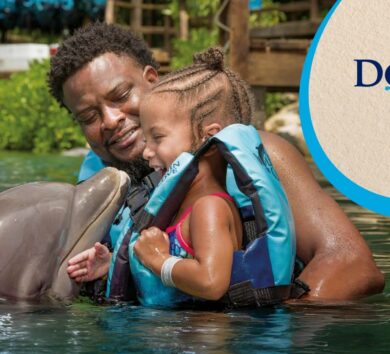 Dolphin Cove