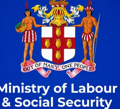 MLSS Ministry of Labour and Social Security